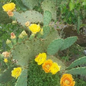 Meet your Posher, Norma